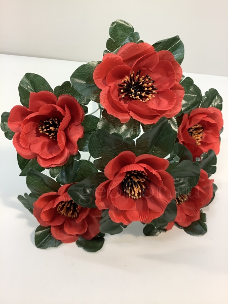    , 6 