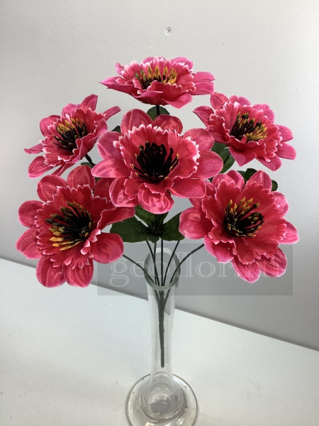  , 6 