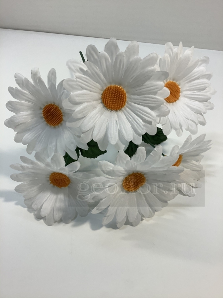   , 6 