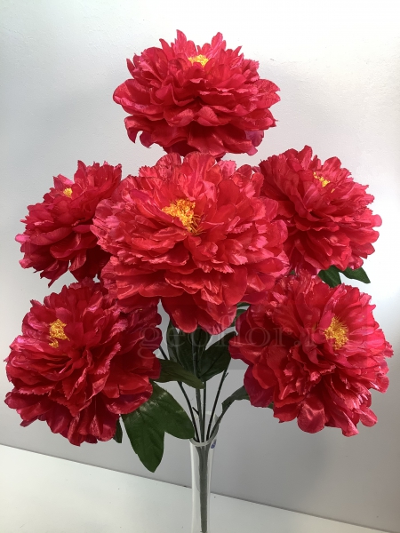  , 7 