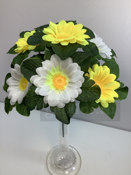     , 6 