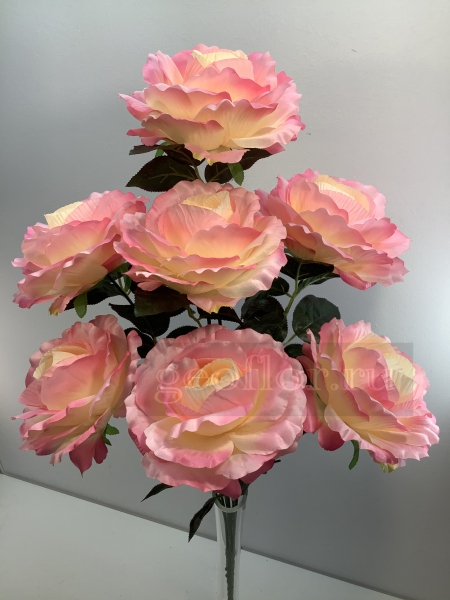  , 7 