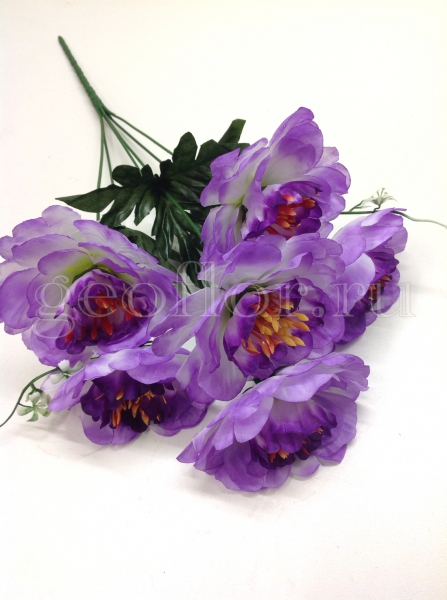  , 6 