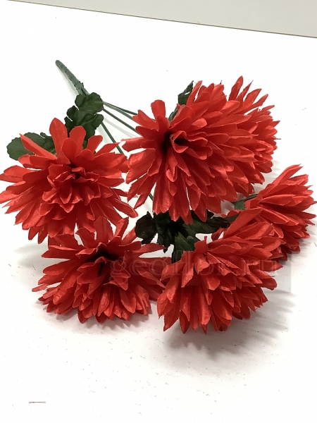   , 6 