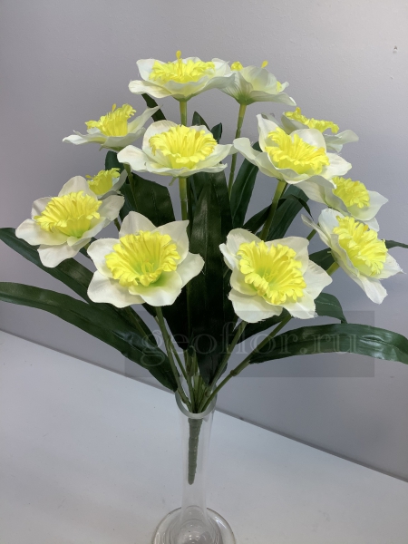  , 12 