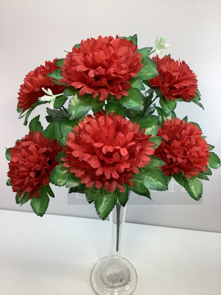    , 6 