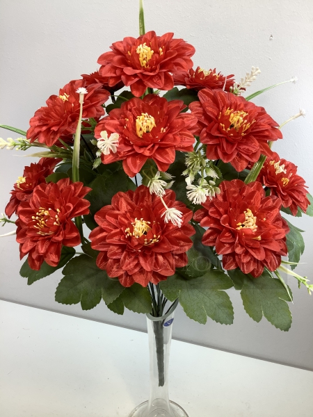  , 12 