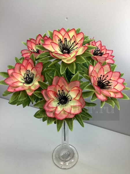    , 6 