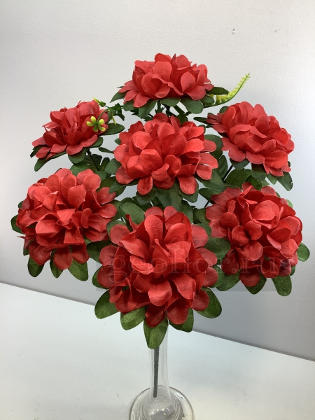    , 7 