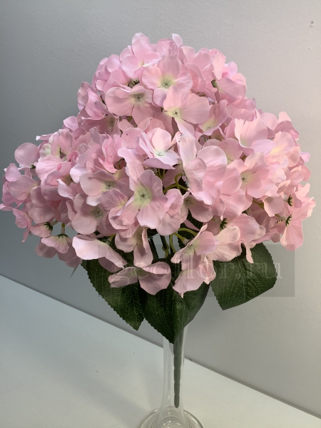  , 6 