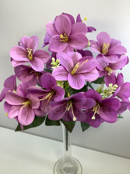  , 7 