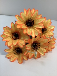  , 6 