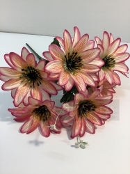  , 6 