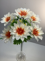  , 6 