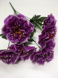  , 6 