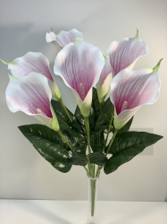  , , 7  ( )