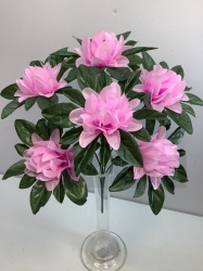    , 6 