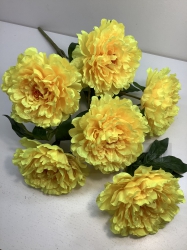    , 7 