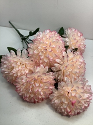  , 6 