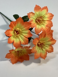  , 5 