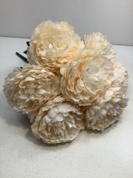  , 7 