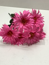  , 6 