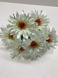  , 6 