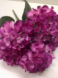   , 5 