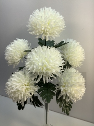  , 7 