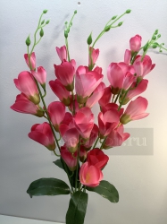  , 5 